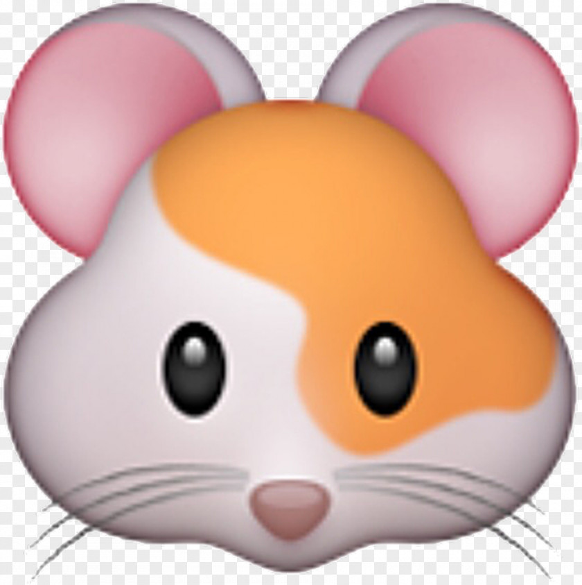 Whiskers Muroidea Hamster PNG
