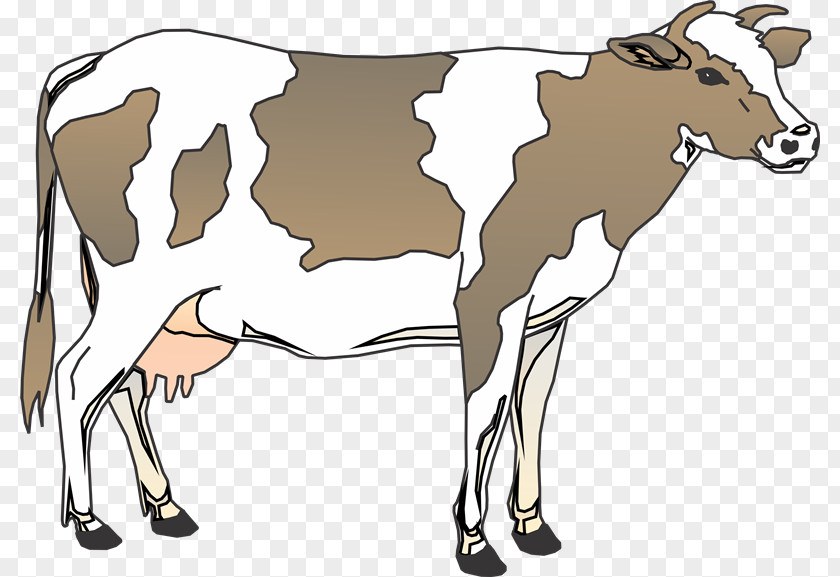 Bull Cattle Vector Graphics Clip Art Livestock PNG