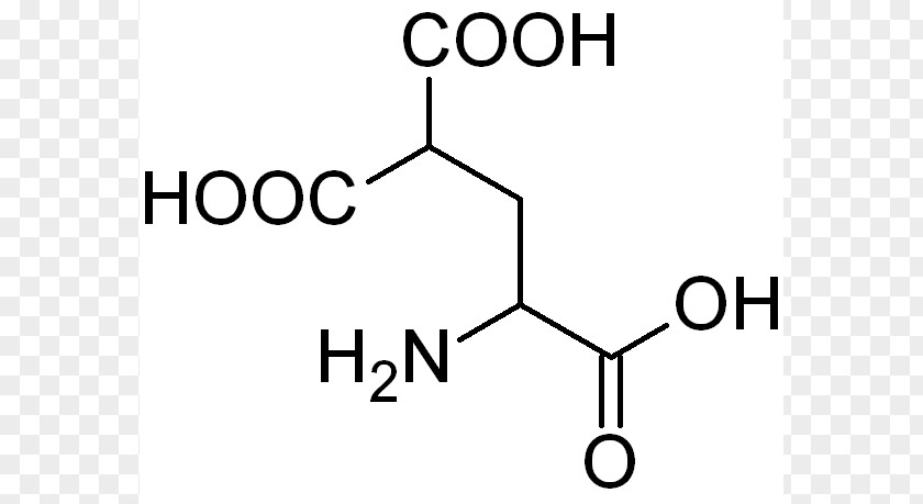 Carboxyglutamic Acid Carboxylic Ligase RuBisCO PNG