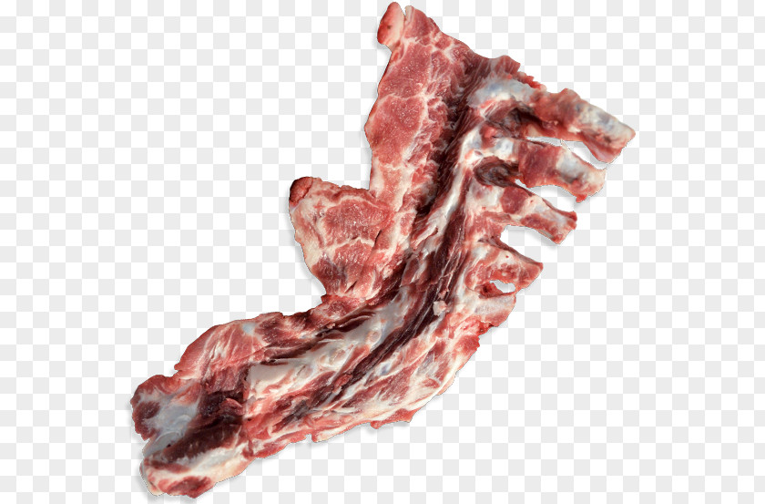 Ham Capocollo Bacon Pork Bone PNG