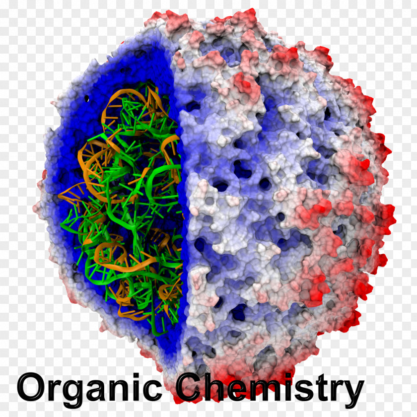 Supercomputer Drawing Visual Molecular Dynamics NAMD Computer Simulation Molecule PNG