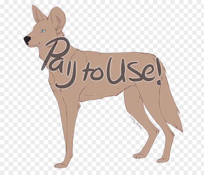 The Dog Painted Breed African Wild Police Jackal PNG