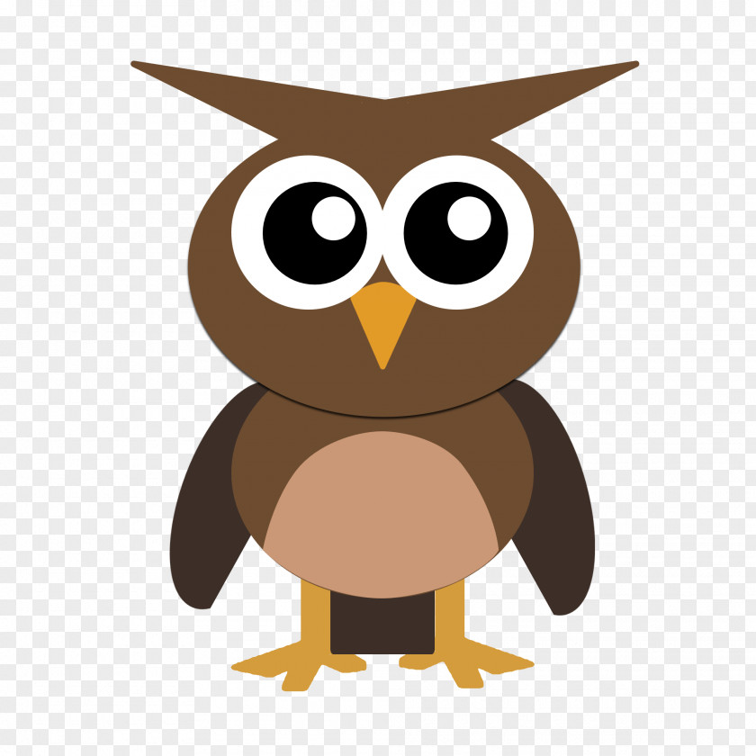 Vector Cute Owl Drawing Bird PNG