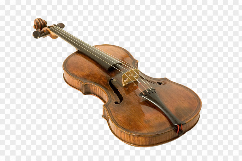 Violin Musical Instruments Viola String PNG