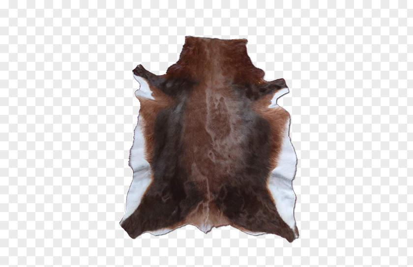 Blesbok Fur PNG