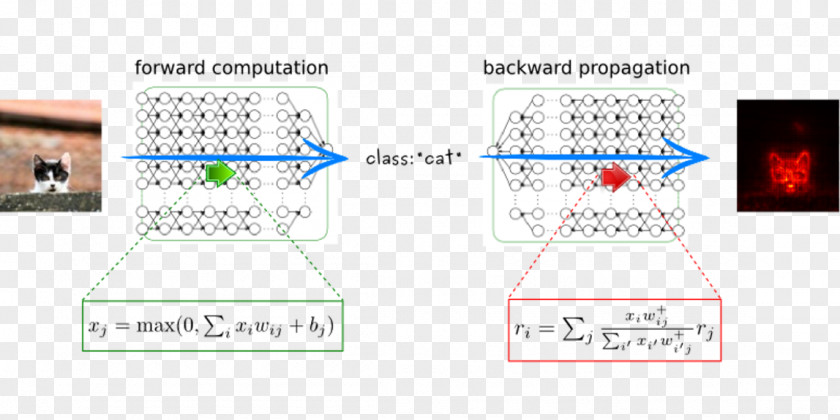 Deep Neural Network Backpropagation Artificial Learning Statistical Classification Neuron Intelligence PNG