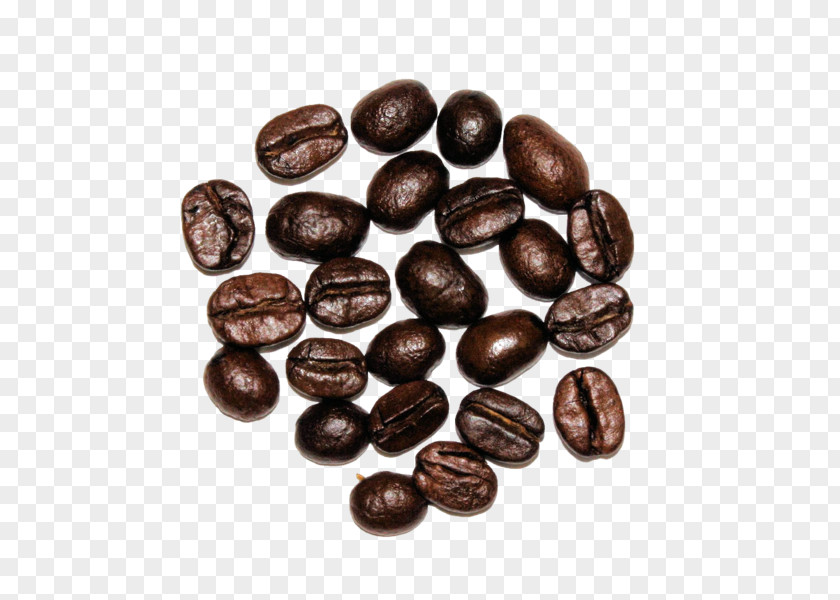 Dutch Coffee Jamaican Blue Mountain Cocoa Bean Bead Brown Nut PNG
