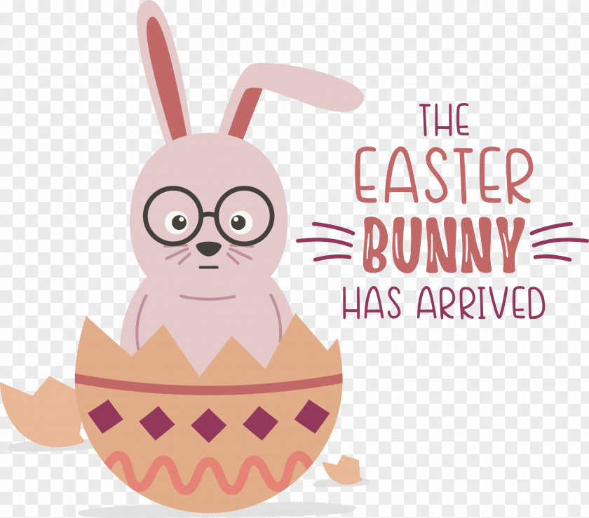 Easter Bunny PNG