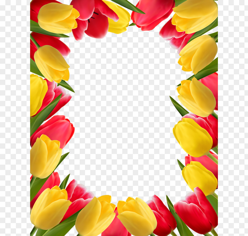 Flowers Tulips Flower Tulip Stock Photography Clip Art PNG