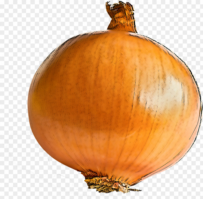 Food Allium Orange PNG