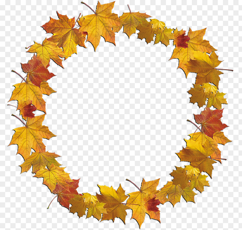 Frame Autumn Maple Leaf Picture Frames Clip Art PNG