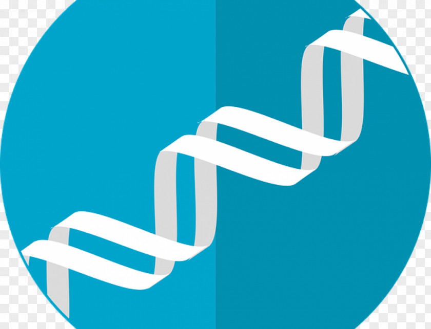 Genetic Genetics Gene Therapy Testing PNG