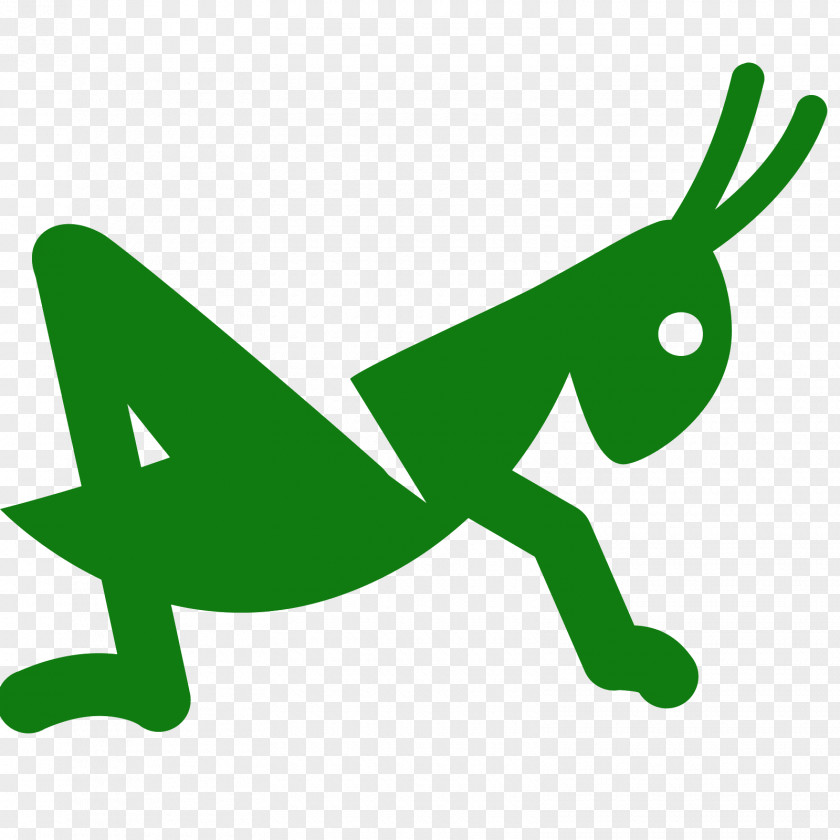 Grasshopper Caelifera Clip Art PNG