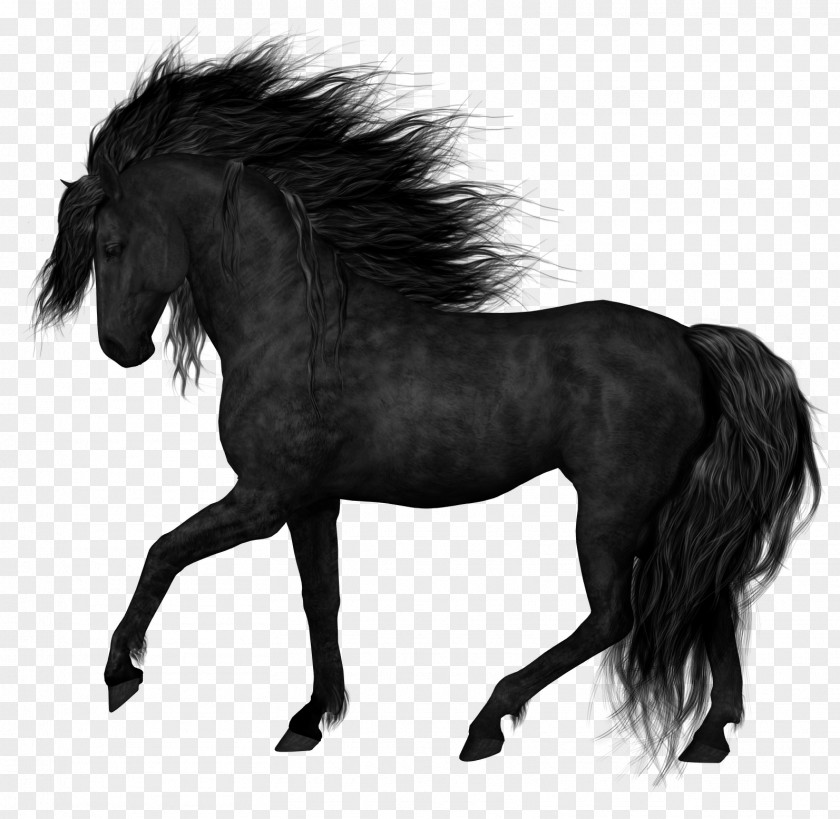 Horse Image Transparent Friesian Stallion Foal Black Clip Art PNG