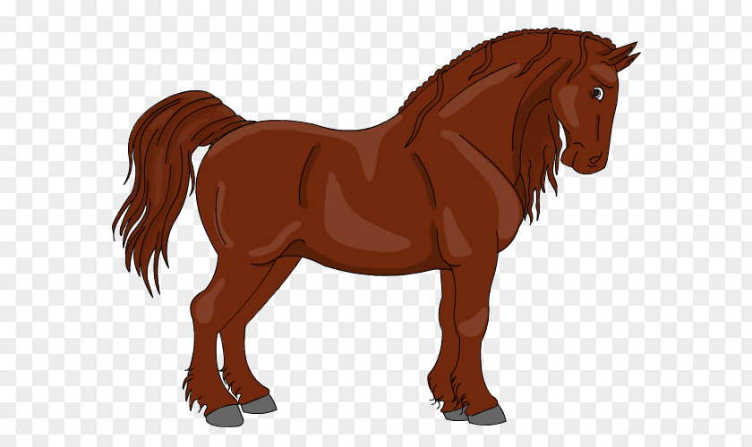 Mustang Mane Stallion Pony Mare PNG