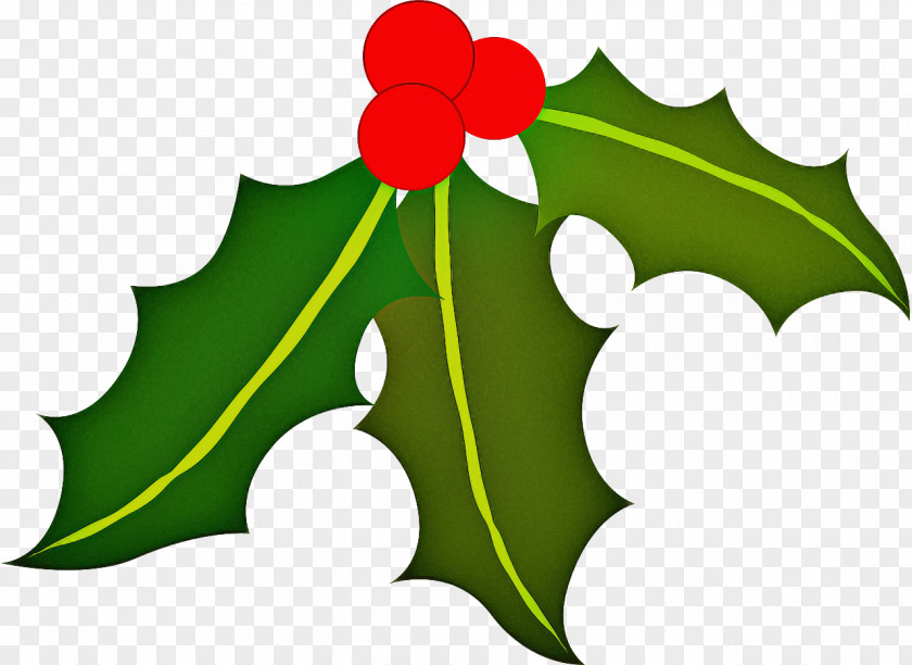 Plane Flower Holly PNG
