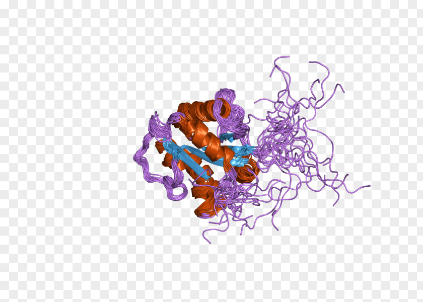 Toll-like Receptor Interleukin-1 Toll-Interleukin PNG