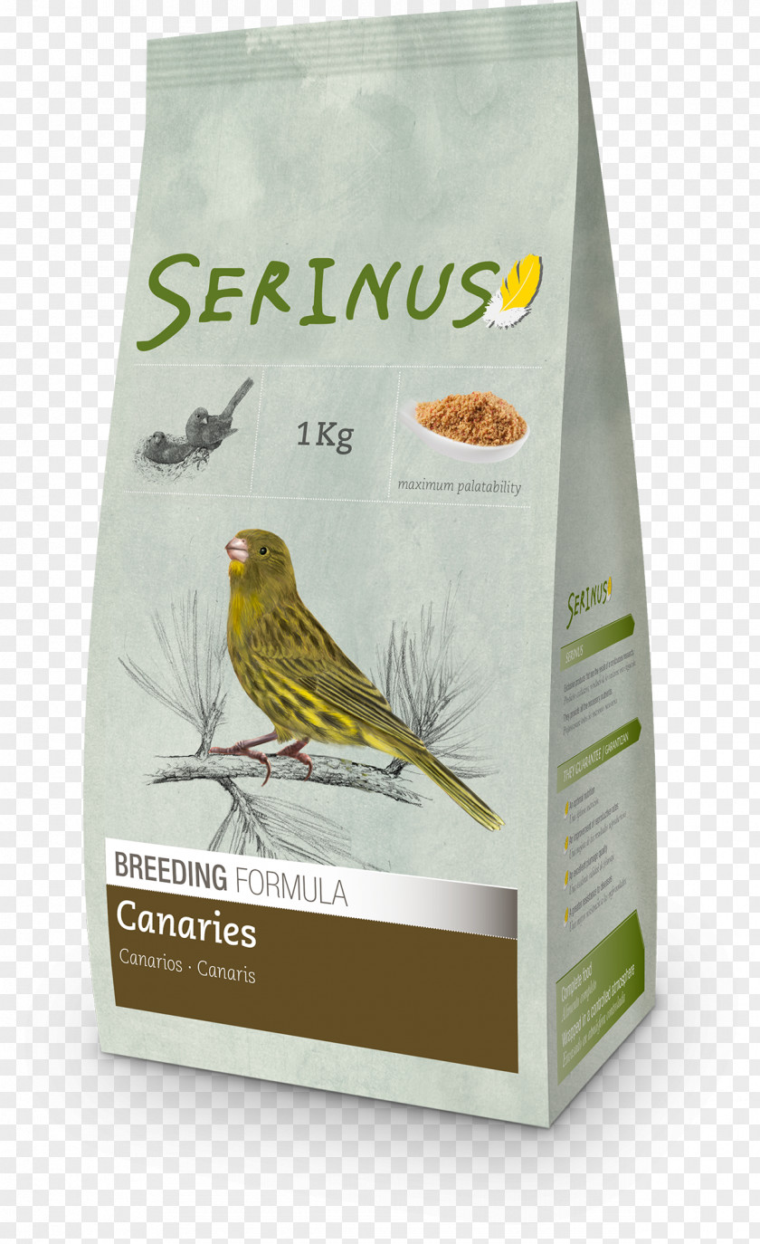 Bird Domestic Canary Food Finch Formula PNG