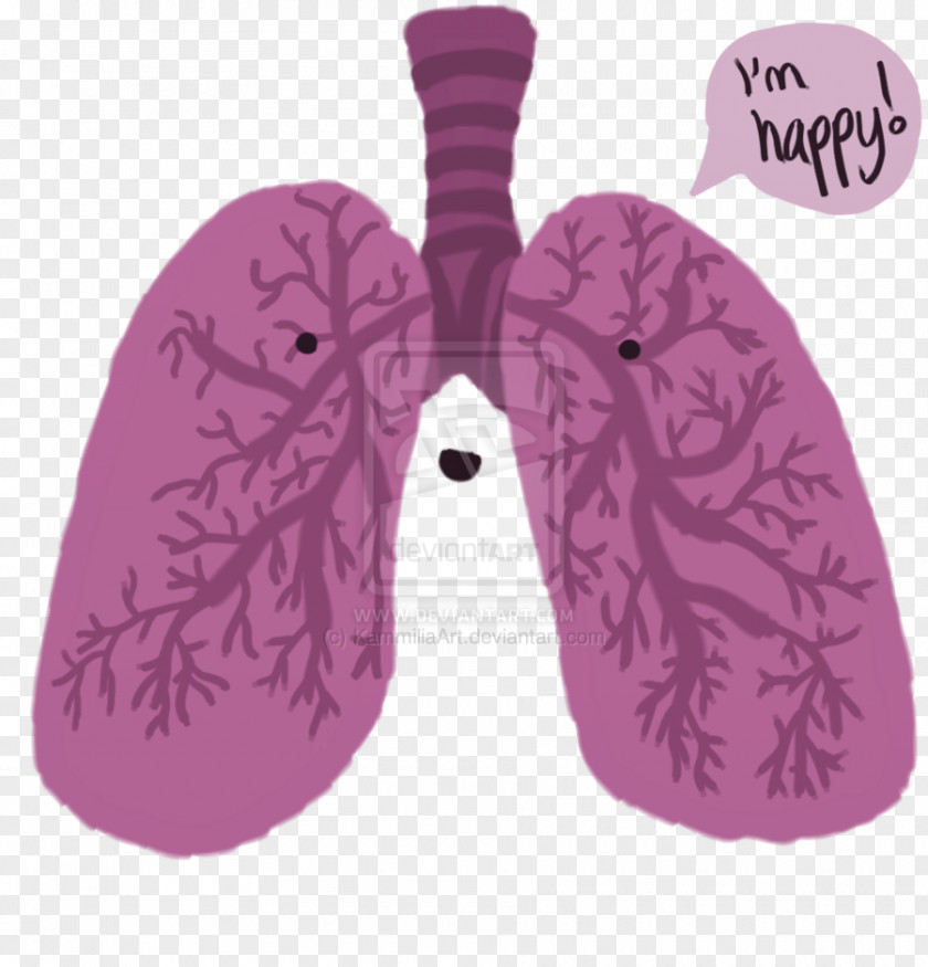 Creative Lungs Lung Happiness Heart Breathing PNG