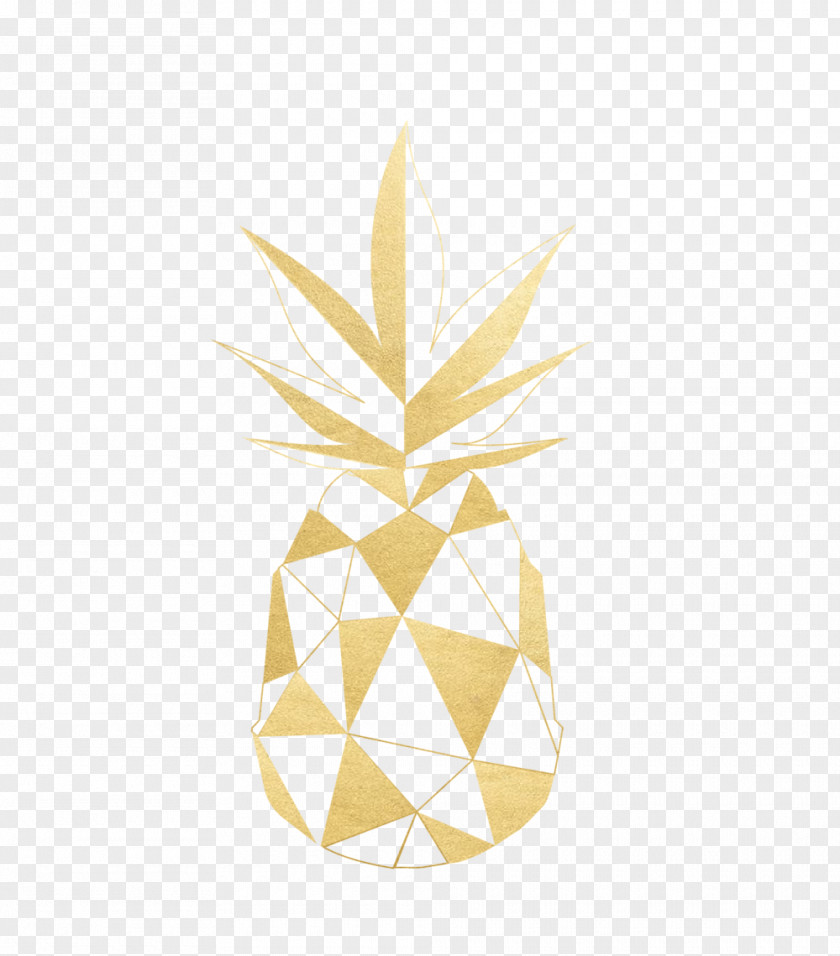 Gold Pineapple Login Password Personal Identification Number Fruit PNG
