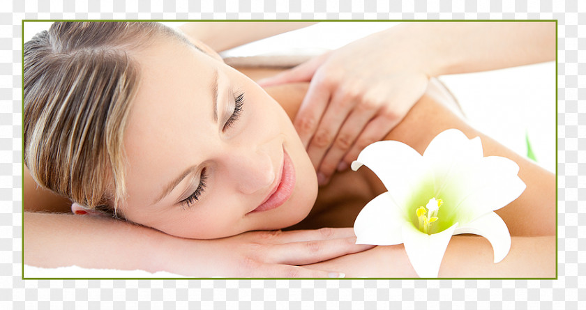 Beauty Studio Pamper Me Day Spa Massage Parlour PNG