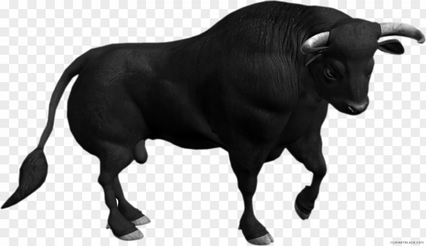 Bull Ox Angus Cattle Brahman Clip Art PNG
