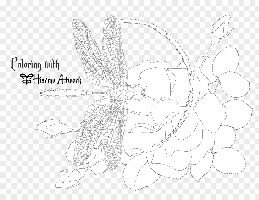 Dragonfly Art Sketch Graphics Line Visual Arts Illustration PNG