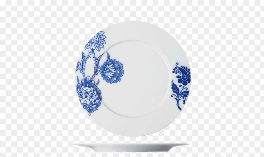 Fu Pei Plate Cabinet Of Curiosities Blue And White Pottery Fürstenberg Cobalt PNG
