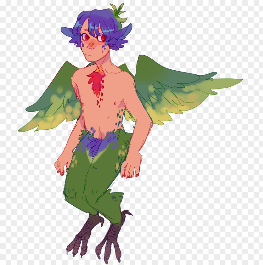 Lories And Lorikeets Macaw Fairy Parrot Costume Design PNG
