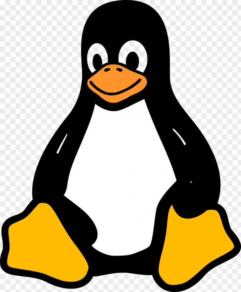 Penguins Tux Racer Penguin Linux Kernel PNG