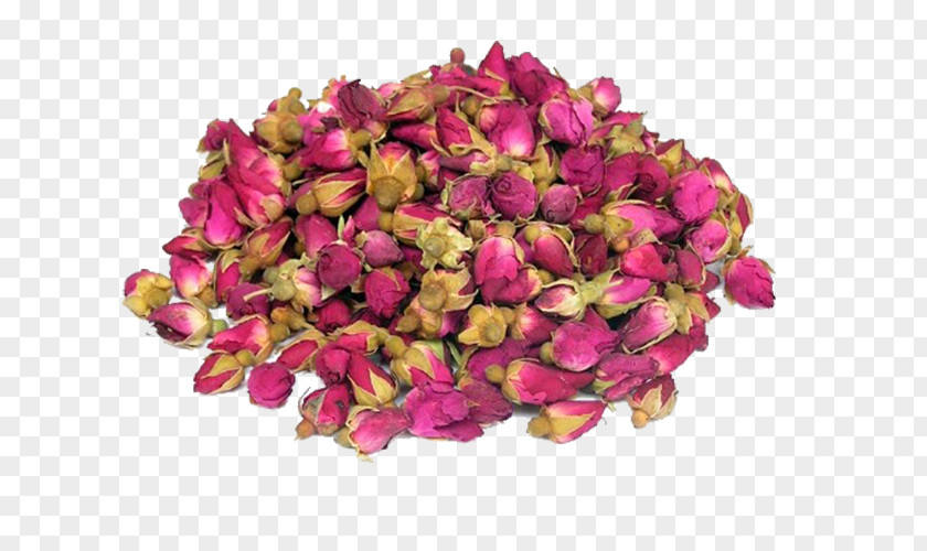 Rose Tea Flowering Beach Drying PNG