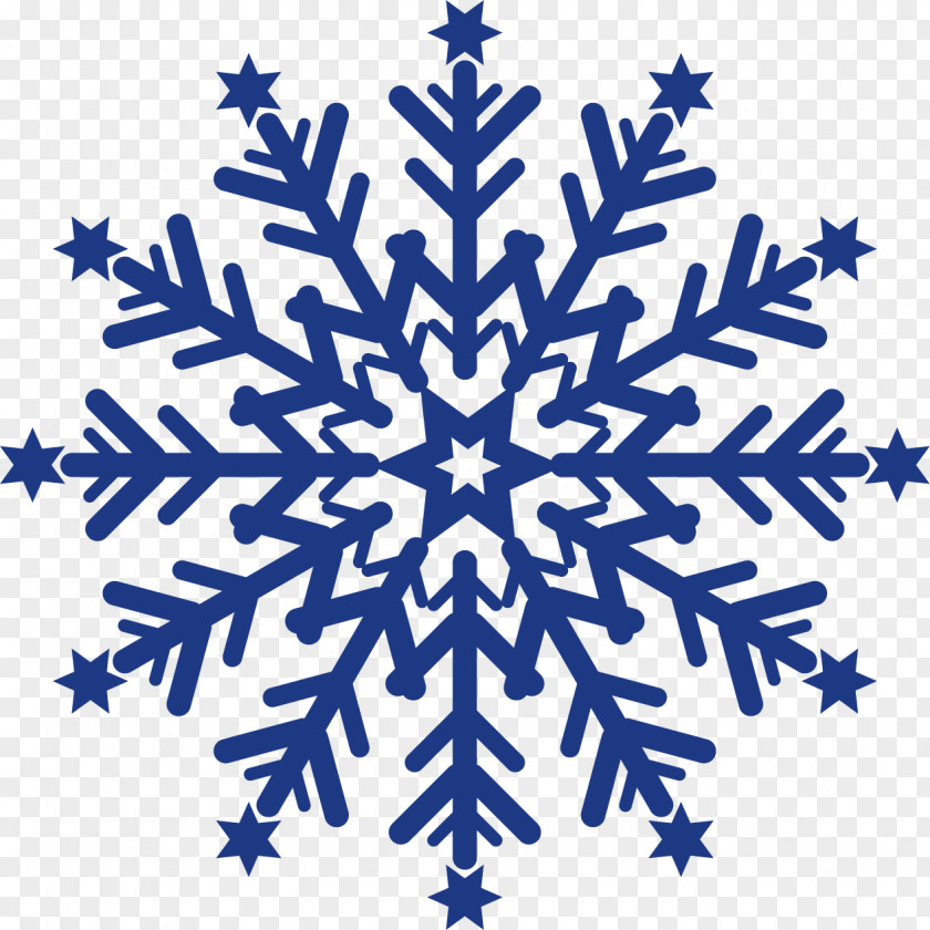 Snowflakes Blue Winchester Gardens Maplewood Assisted Living Health Care Vaccine PNG