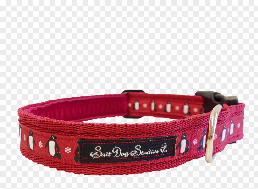 Dog With Collar Belt Strap PNG