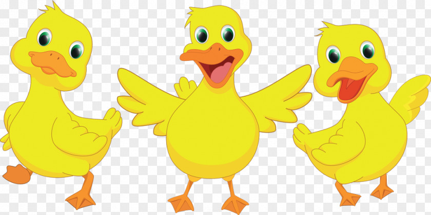 Duck Drawing Clip Art PNG
