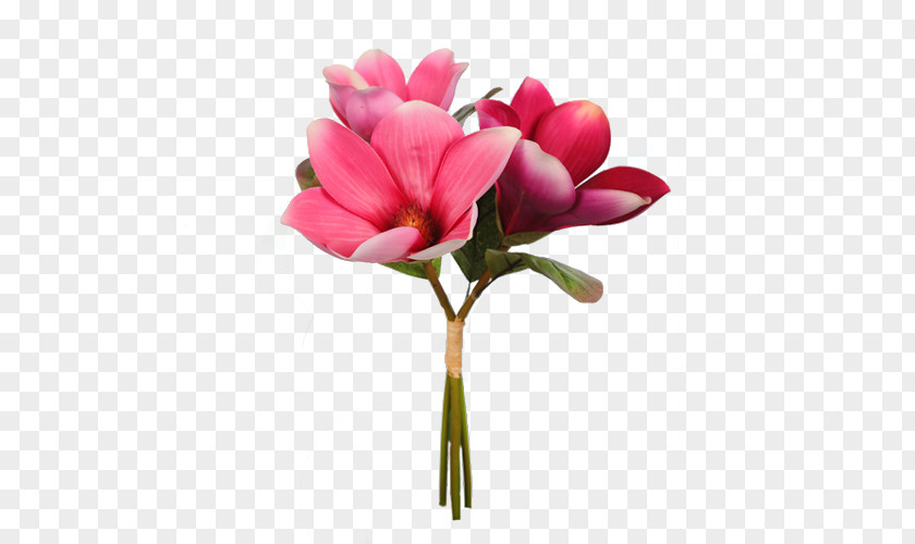 Flower Bouquet Cut Flowers Artificial Plant Stem PNG