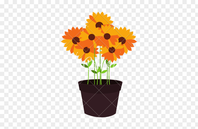 Flower Pot Flowerpot Common Sunflower Graphic Design PNG