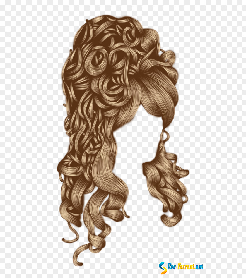 Hair Long Wig Hairstyle Capelli PNG