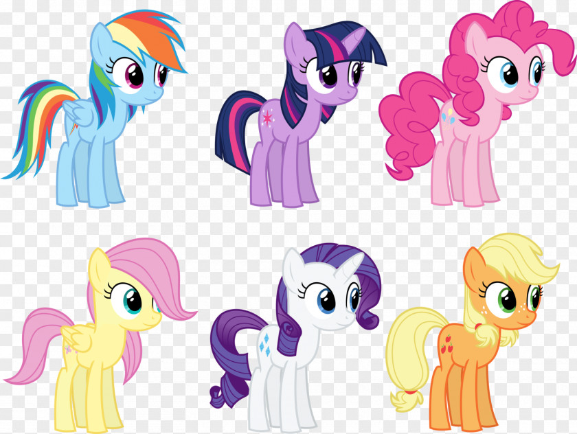 My Little Pony Rainbow Dash Twilight Sparkle Pinkie Pie Applejack Rarity PNG