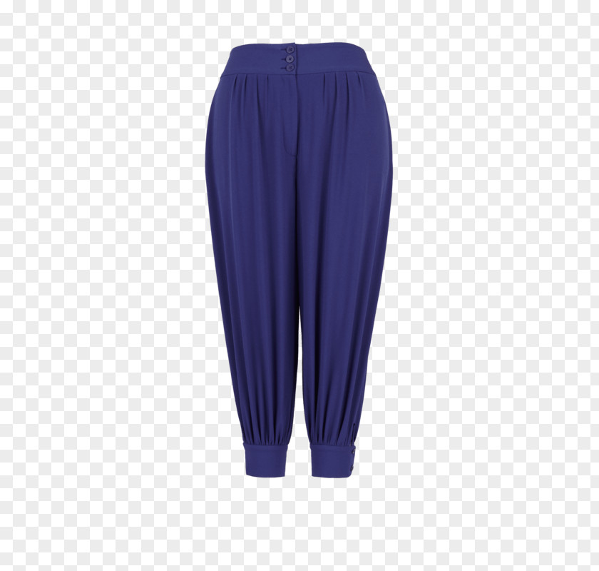 Office Wear Waist Pants PNG