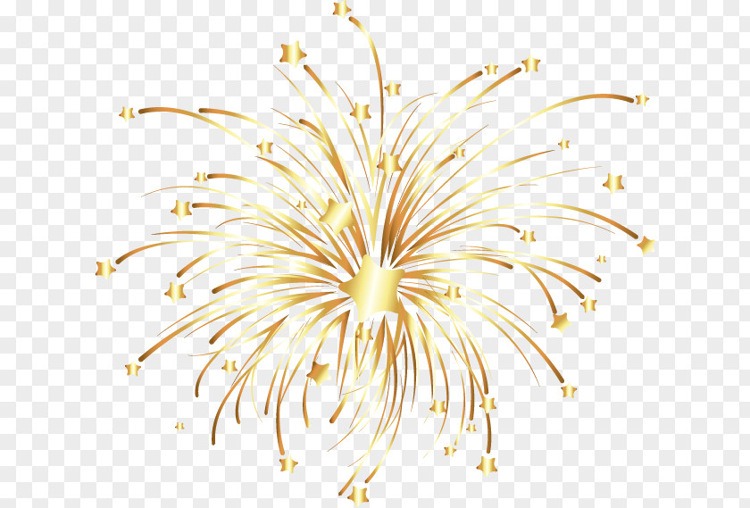 Vector Golden Fireworks Euclidean PNG