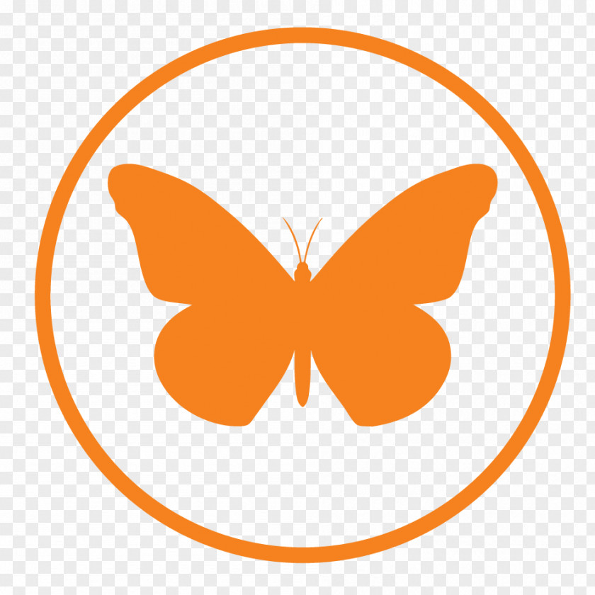 Butterfly Insect Vector Graphics Symbol Clip Art PNG