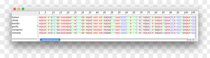 Design Line Pattern PNG