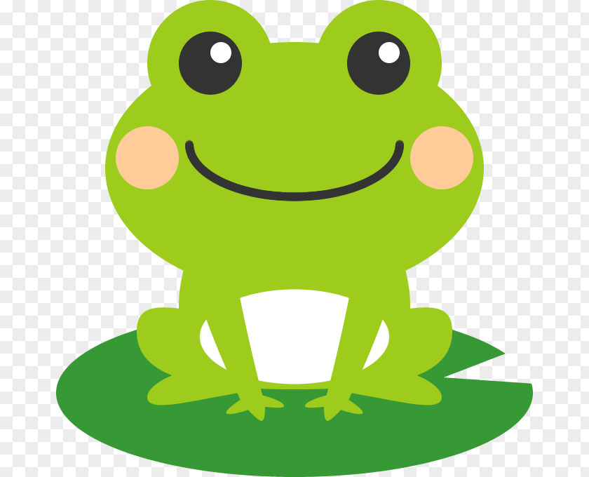Frog Photography グーネット PNG