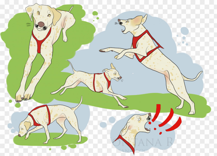 Spotted Dog Whippet Italian Greyhound Breed PNG