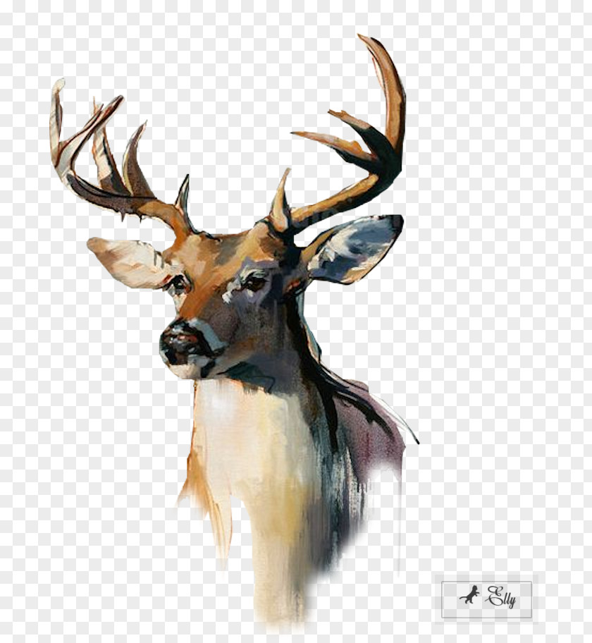Water Color Reindeer White-tailed Deer Flower Bouquet PNG