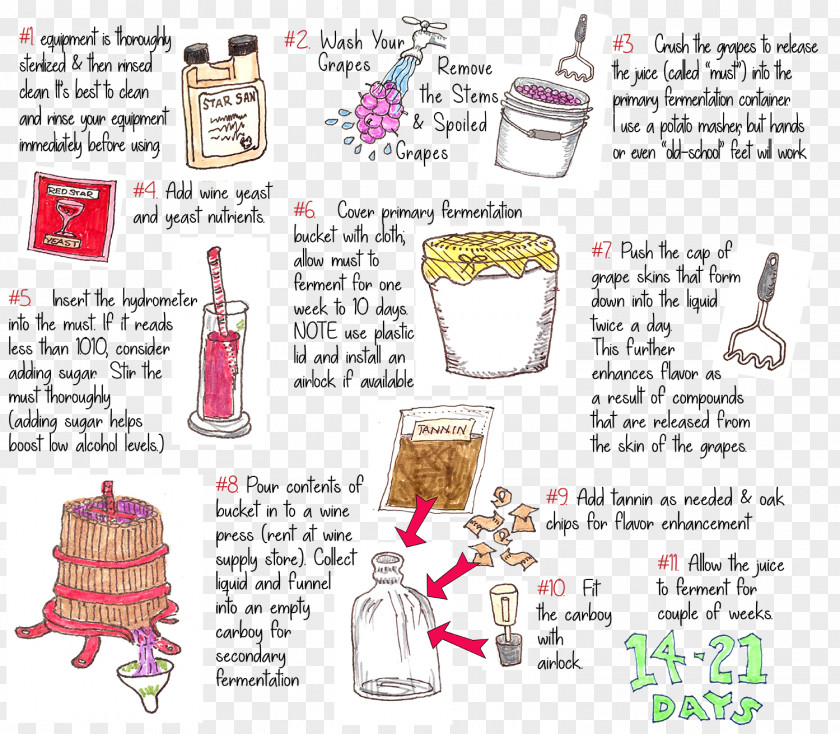 Acc Infographic Winemaking Paper Product Design PNG