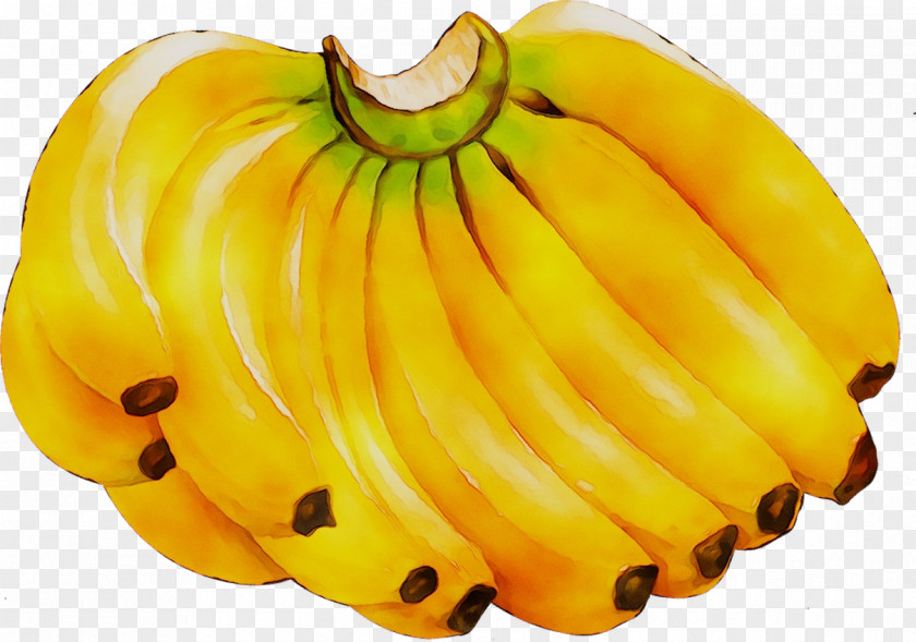 Banana Clip Art Vector Graphics Image PNG