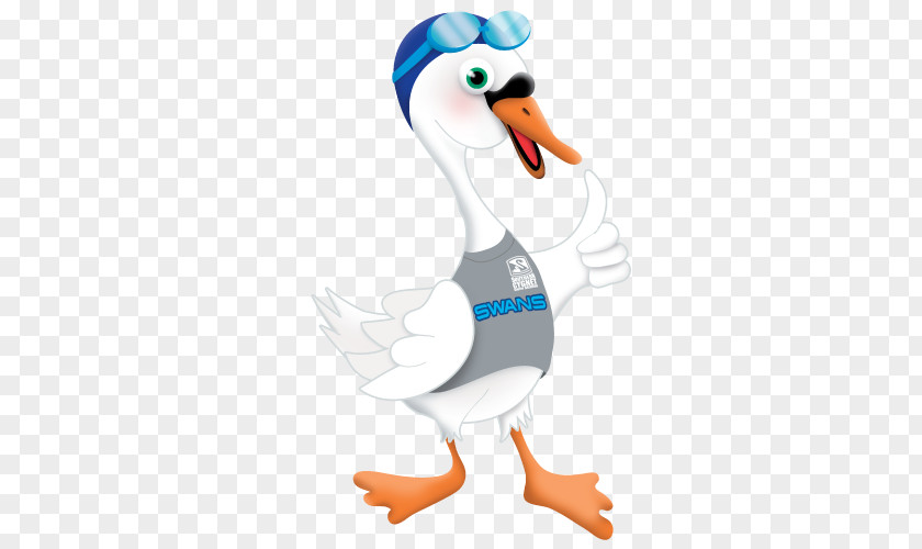 Duck Clip Art Cygnini Image PNG