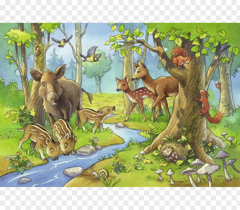 Forest Animal Jigsaw Puzzles Ravensburger Castorland Jungle PNG
