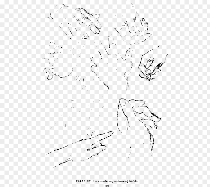 Hand Sketches Drawing The Head And Hands Art Sketch PNG